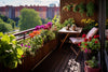 Balcony, Terrace, or Ground Garden – Choosing the Right Gardening Method for Beginners