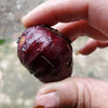 Giant Red Crystal Jaboticaba