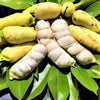 Guama Ice Cream Bean - A Shade-Giving Evergreen with Sweet, Vanilla-Scented Fruits
