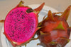 American Beauty Dragon Fruit – A Radiant Creation of Nature at Exotica Grove