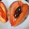 Mamey Sapote Pantine