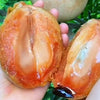 Thai King Sapote Live Plant