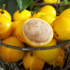 Cherry Mangosteen -  The Tangy-Sweet Jewel of the Tropics