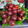 Purple Matoa Fruit Plants - Pometia pinnata