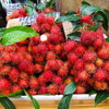 Rambutan Binjai
