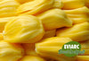 EVIARC The Sweetest Jackfruit Plant