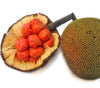 Keledang Fruit Plant