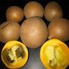 Kepel Fruit Plant