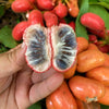 Kriel Fruit Plant