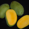 Kolomb Mango