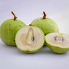 Green Star Apple Fruit Plant - A Lush Tropical Delicacy with Natural Wellness Value
