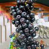 Lipote Fruit – Syzygium curranii