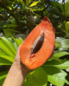 Mamey Sapote Key West