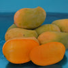 Kesar Mango  Live Plant