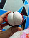 Mangosteen  Fruit Plants