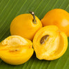 Mundu Fruit - Garcinia dulcis