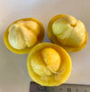 Mundu Fruit - Garcinia dulcis