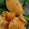Pepisangan Fruit Plant