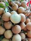 Ping Pong Longan Fruit Plant  - Dimocarpus longan