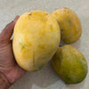 Rajapuri Mango