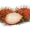 Rambutan Caesar - Nephelium lappaceum