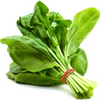 Indian Spinach