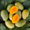 Amrapali Mango - The Golden Jewel of Indian Gardens
