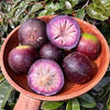 Purple Star Apple Fruit Plant