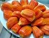 Red Gumless Jackfruit