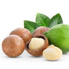 Macadamia Nut – Macadamia integrifolia