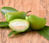 Madan Fruit – Garcinia schomburgkiana