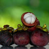 Mangosteen  Fruit Plants