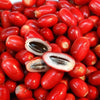 Miracle Fruit  - Synsepalum dulcificum