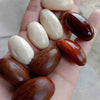 Pra Nut Live Plant