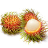 Rambutan Rongrien - Nephelium lappaceum