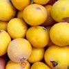 Yellow Jaboticaba Live Plant - Myrciaria glazioviana